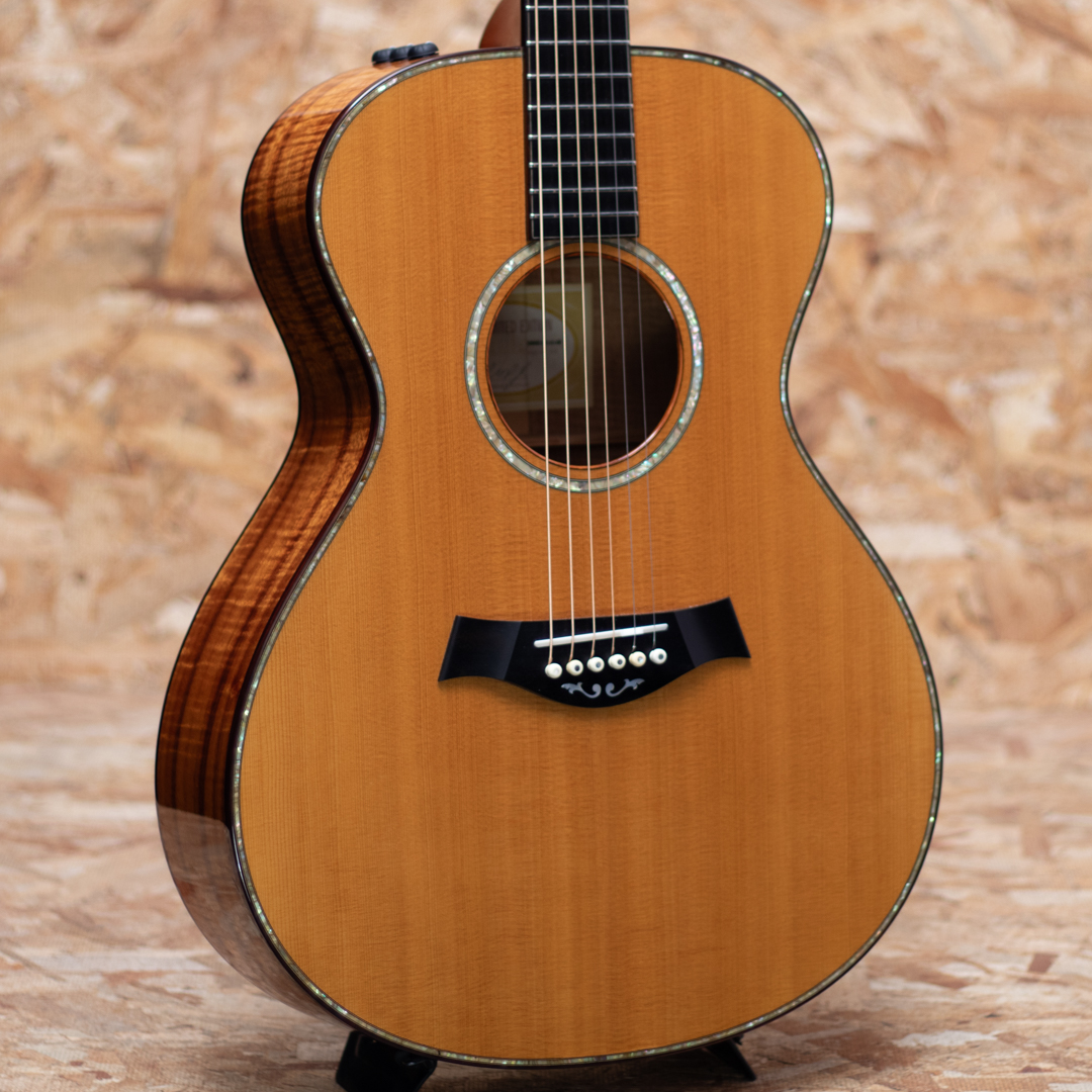 TAYLOR GC KOA Fall Limited テイラー