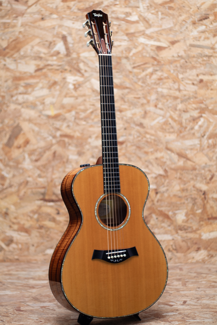 TAYLOR GC KOA Fall Limited テイラー サブ画像2