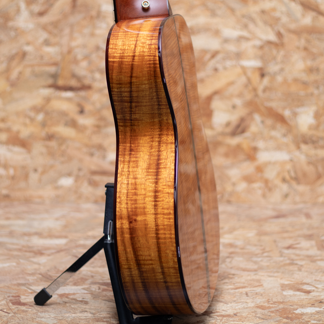 TAYLOR GC KOA Fall Limited テイラー サブ画像4