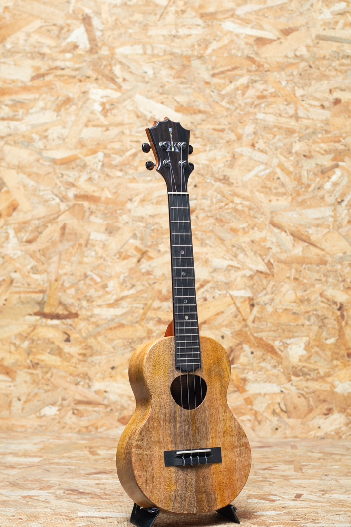 KoAloha KTM-10RPMG Royal Pikake Tenor コアロハ UKULELE_PICNIC_2024 サブ画像2