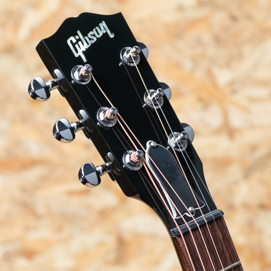 GIBSON L-00 Standard VS ギブソン kannsyasai_2024_Acoinn,shinnsyunn_2025_Acoinn サブ画像7