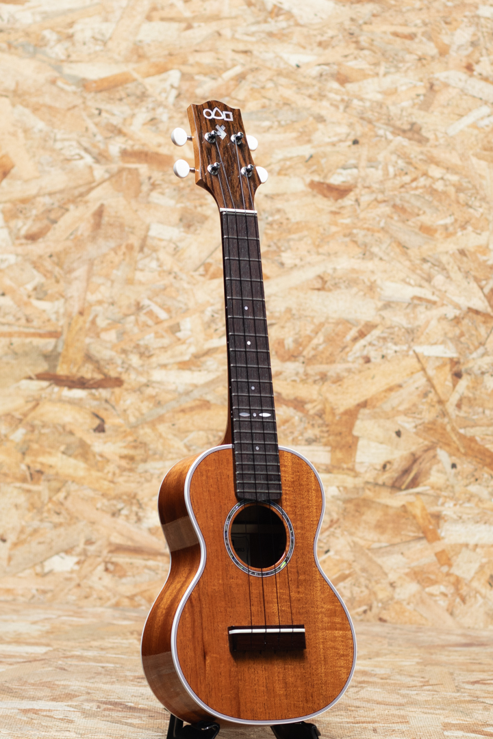 URABE M-40H Honduran Mahogany Medium 占部弦楽器製作所 サブ画像2