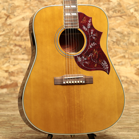 Masterbilt Inspired by Gibson HummingBird Aged Natural Antique Gloss