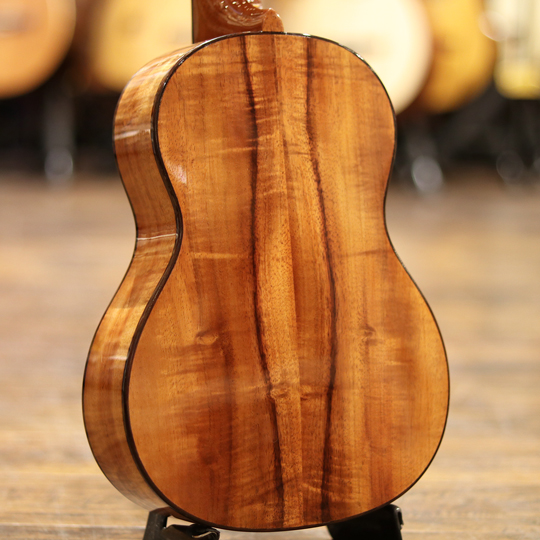 MT2 Double Hole Tenor | 【MIKIGAKKI.COM】 Acoustic INN