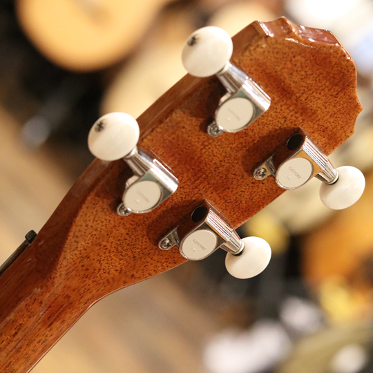 MT2 Double Hole Tenor | 【MIKIGAKKI.COM】 Acoustic INN