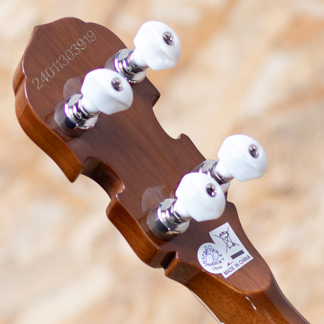 Epiphone Mastertone Classic Banjo エピフォン サブ画像8