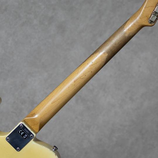 Nacho Guitars Early 60s Whiteguard Rosewood FB Blonde #40065 Medium Aging Medium C Neck ナチョ・ギターズ サブ画像7
