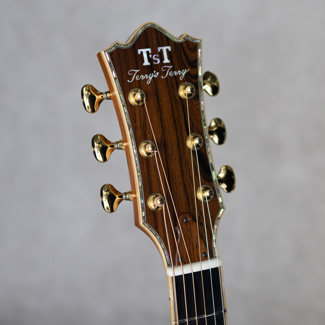 T'sT Terry's Terry TJ-100 Custom Honduras Rosewood テリーズテリー サブ画像8