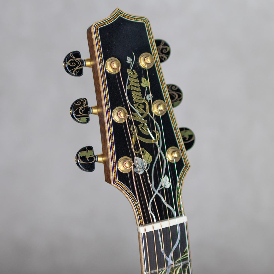 TAKAMINE 50th Anniversary タカミネ サブ画像8