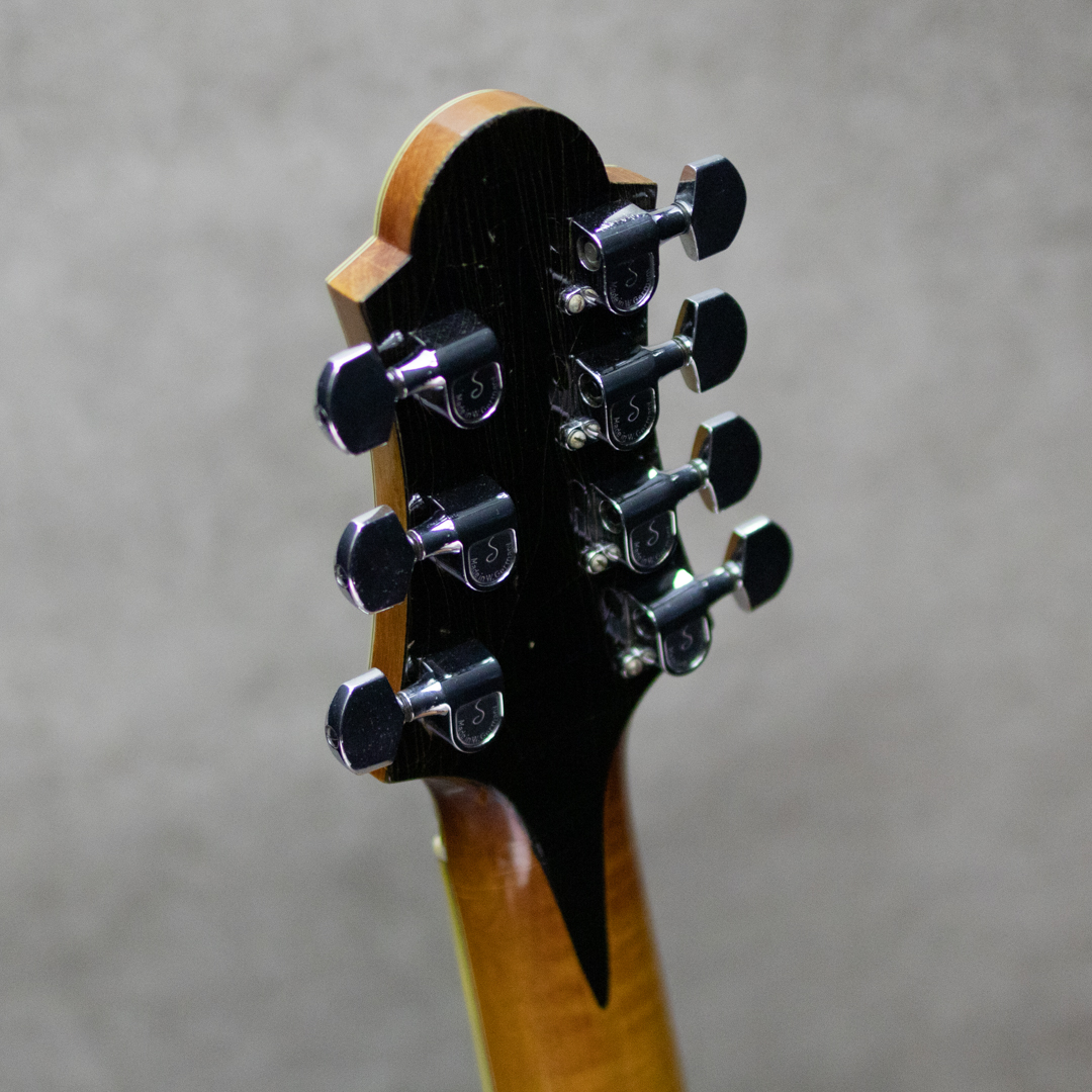 Collings 18 inch 7strings Arch Top コリングス サブ画像9