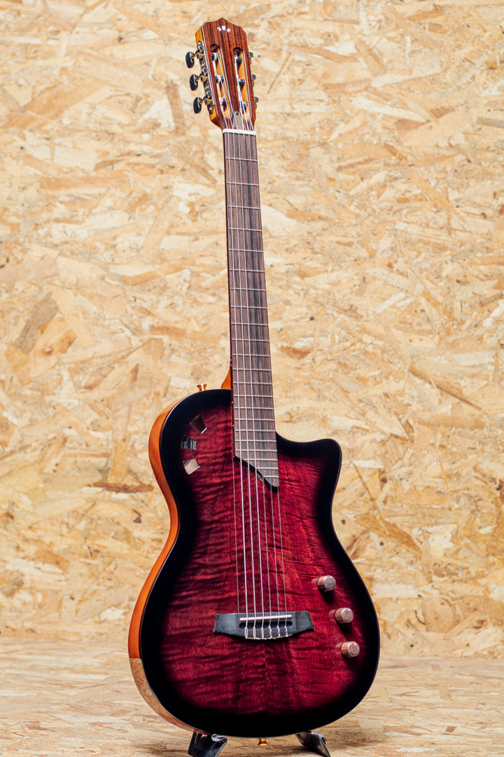 Cordoba Stage Guitar EDGE BURST コルドバ サブ画像2