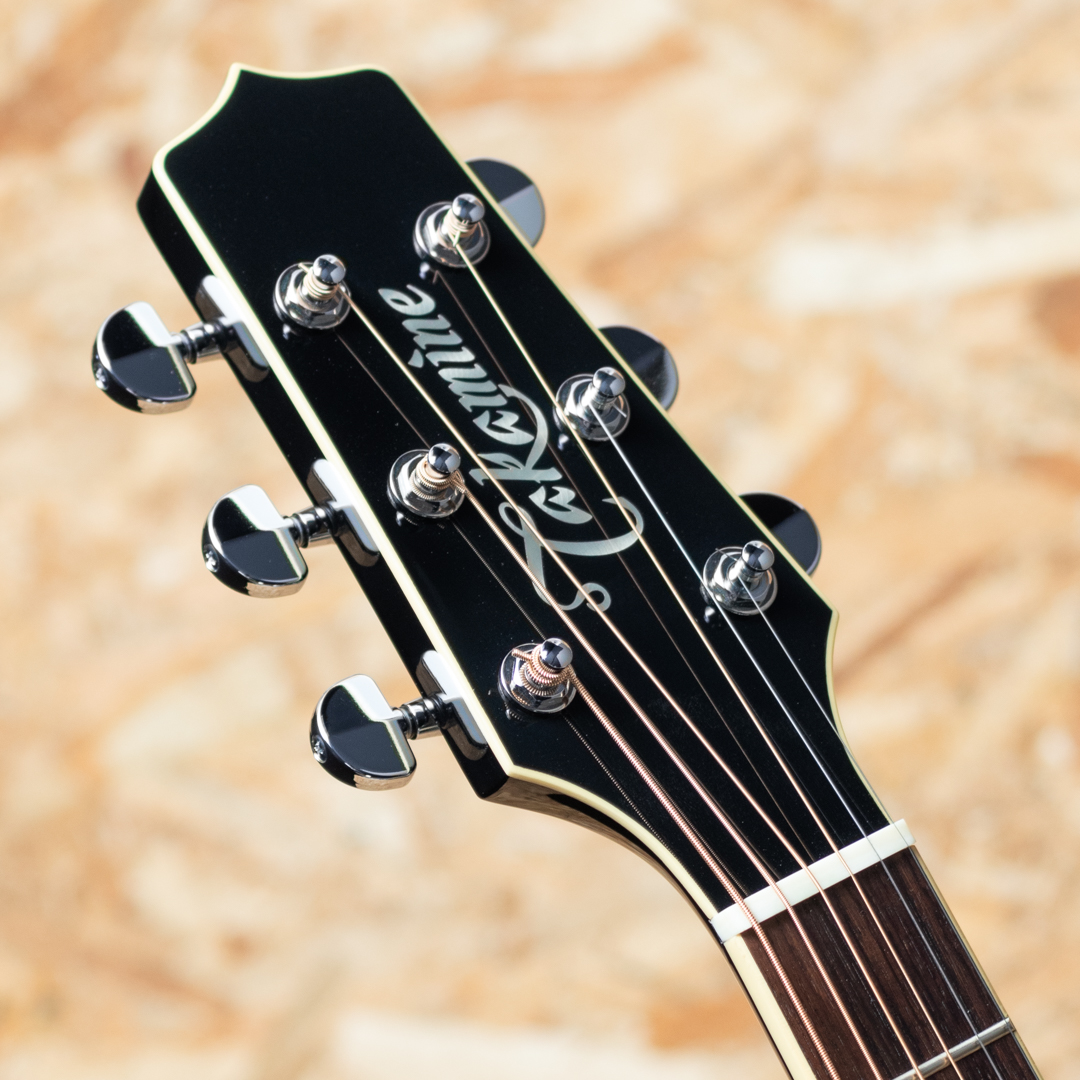 TAKAMINE TDP561C BL タカミネ サブ画像7