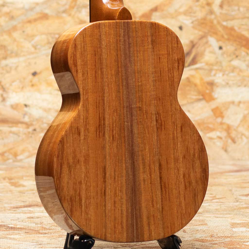 TKP-6233 Premium Concert