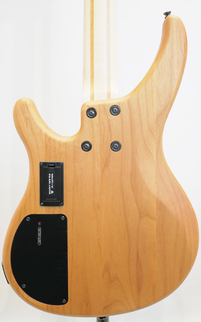 TRBX604FM (NS) NS BASS SIDE