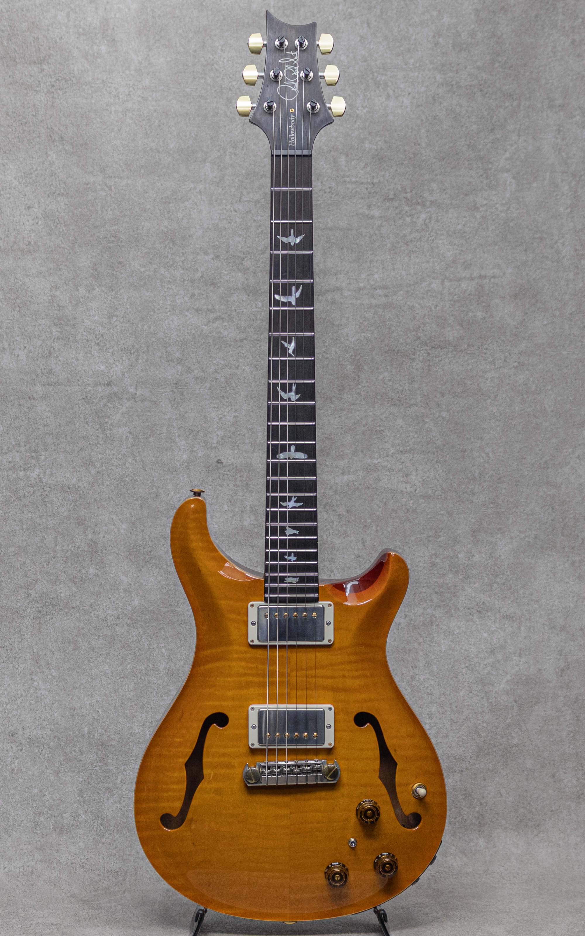 Wood Library Hollowbody I Piezo Rosewood Neck African Blackwood FB McCarty Sunburst / 2018