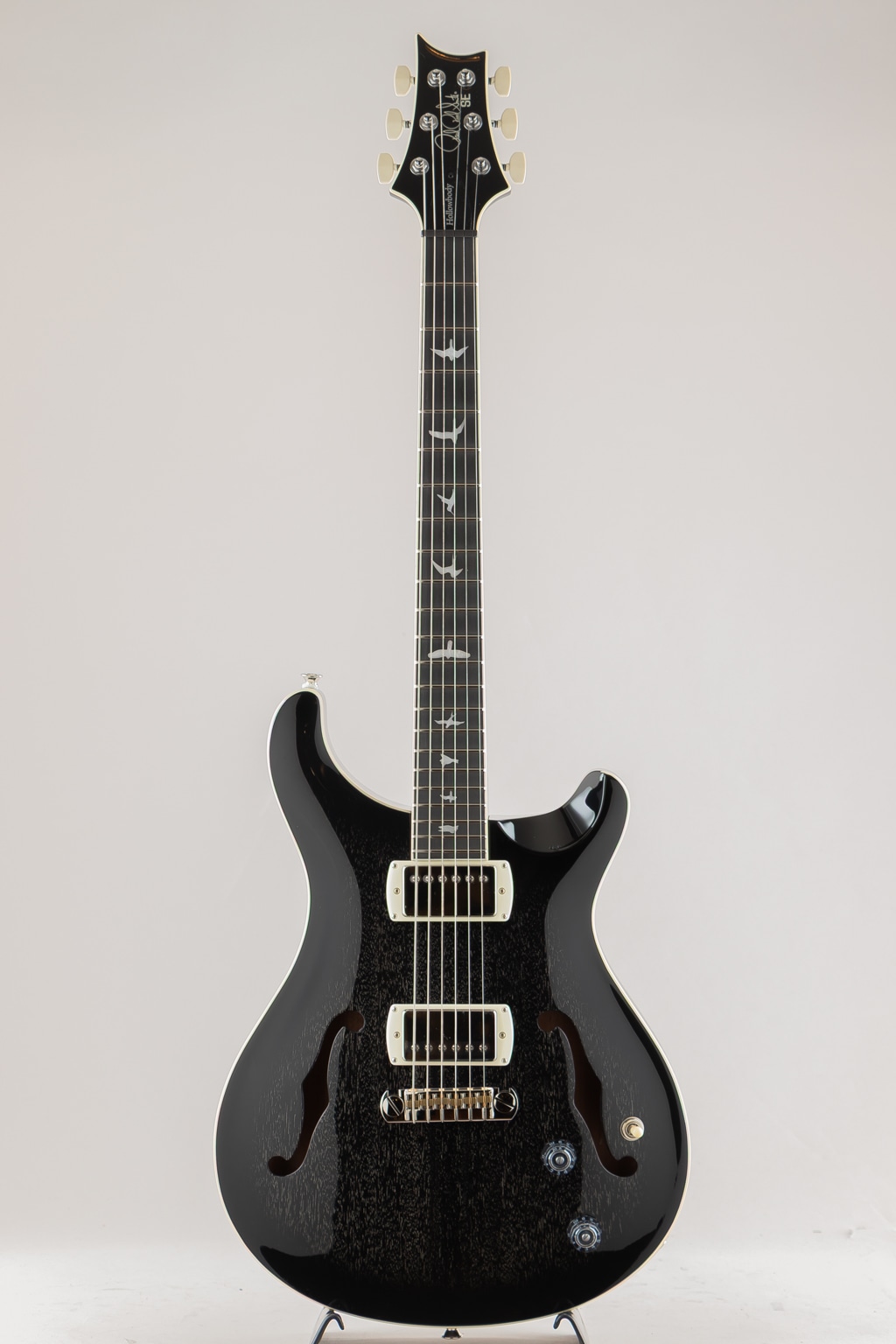 SE Hollowbody Standard/Dog Hair Smokeburst【2025】