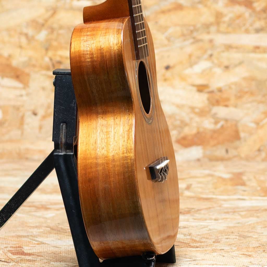 TKP-6233 Premium Concert