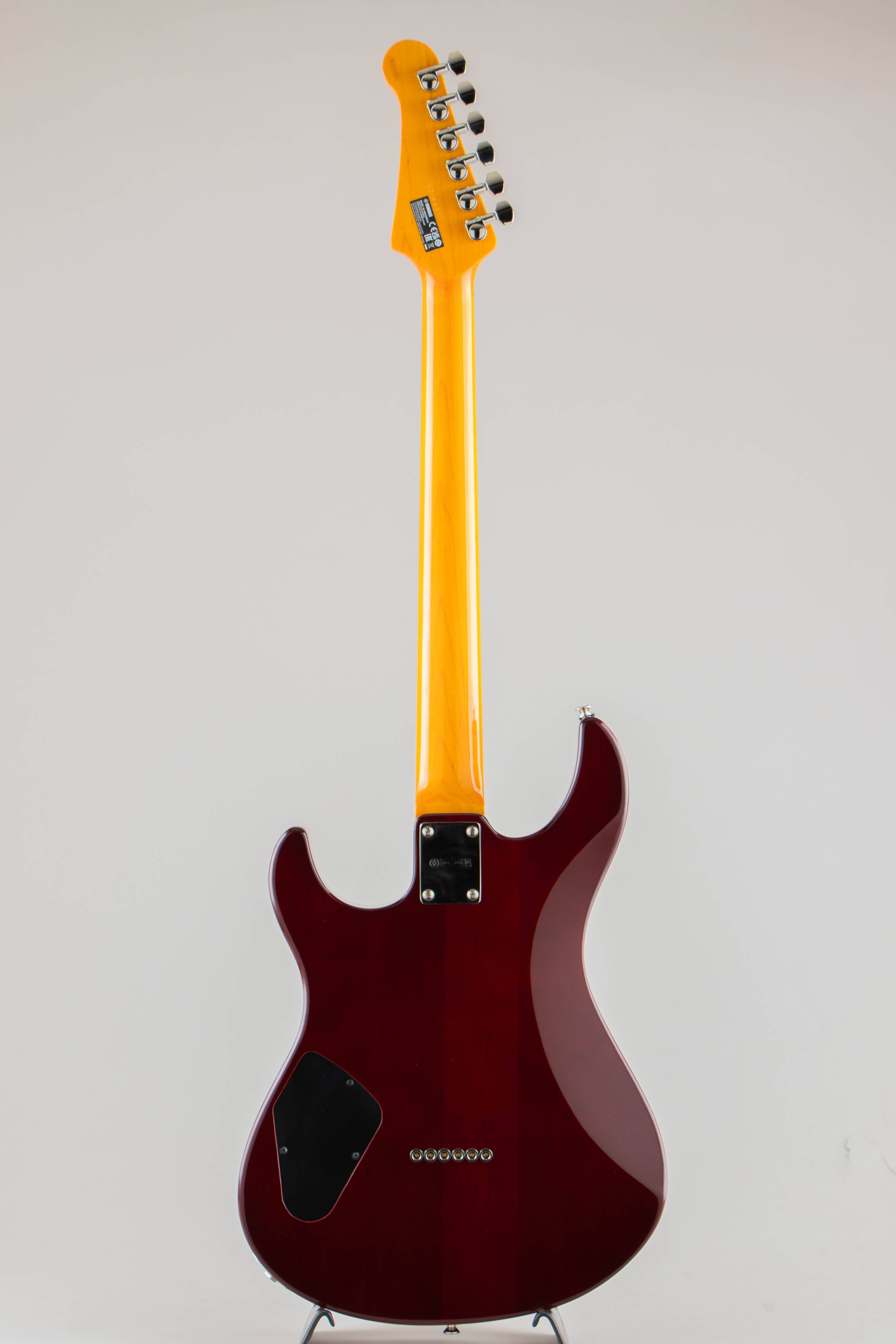 PACIFICA611HFM / Root Beer