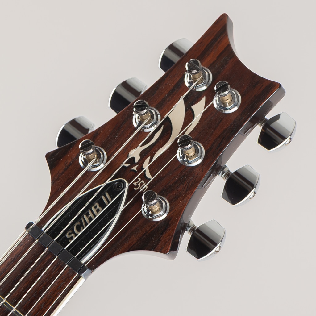 25th Singlecut Hollowbody II 10top 2010