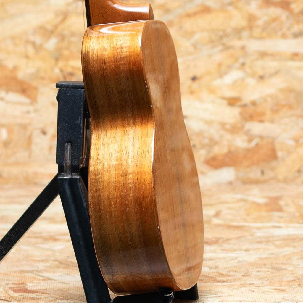 TKP-6233 Premium Concert