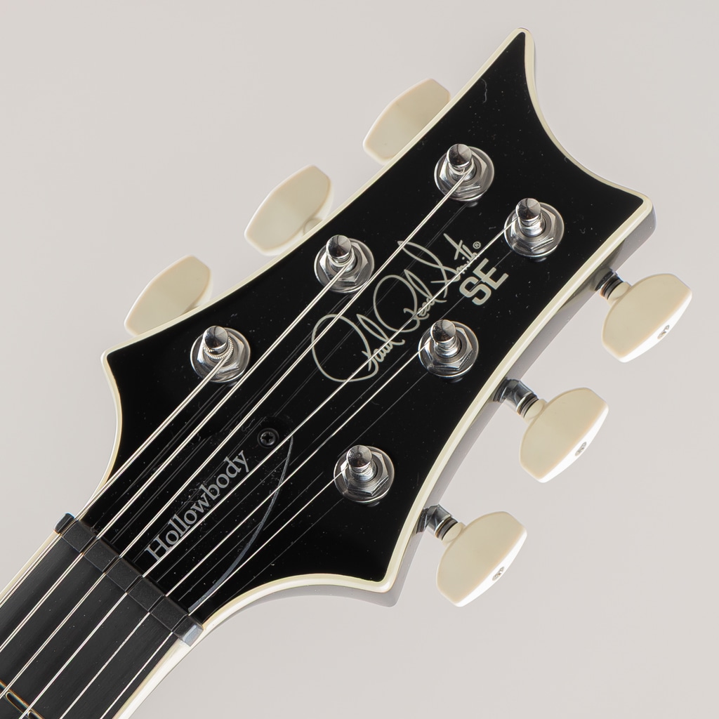 SE Hollowbody Standard/Dog Hair Smokeburst【2025】