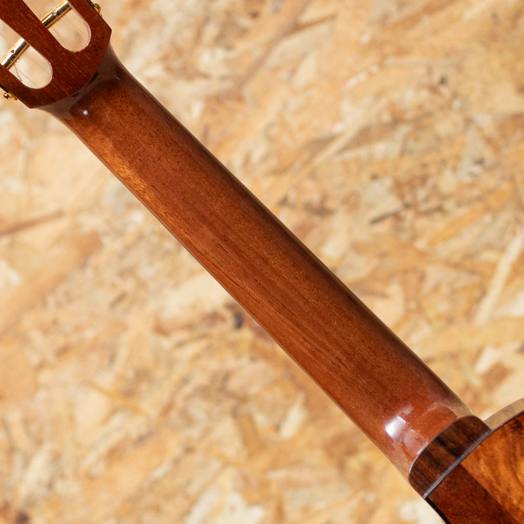 CEDK-LN Cedar Top Concert Semi Long Neck
