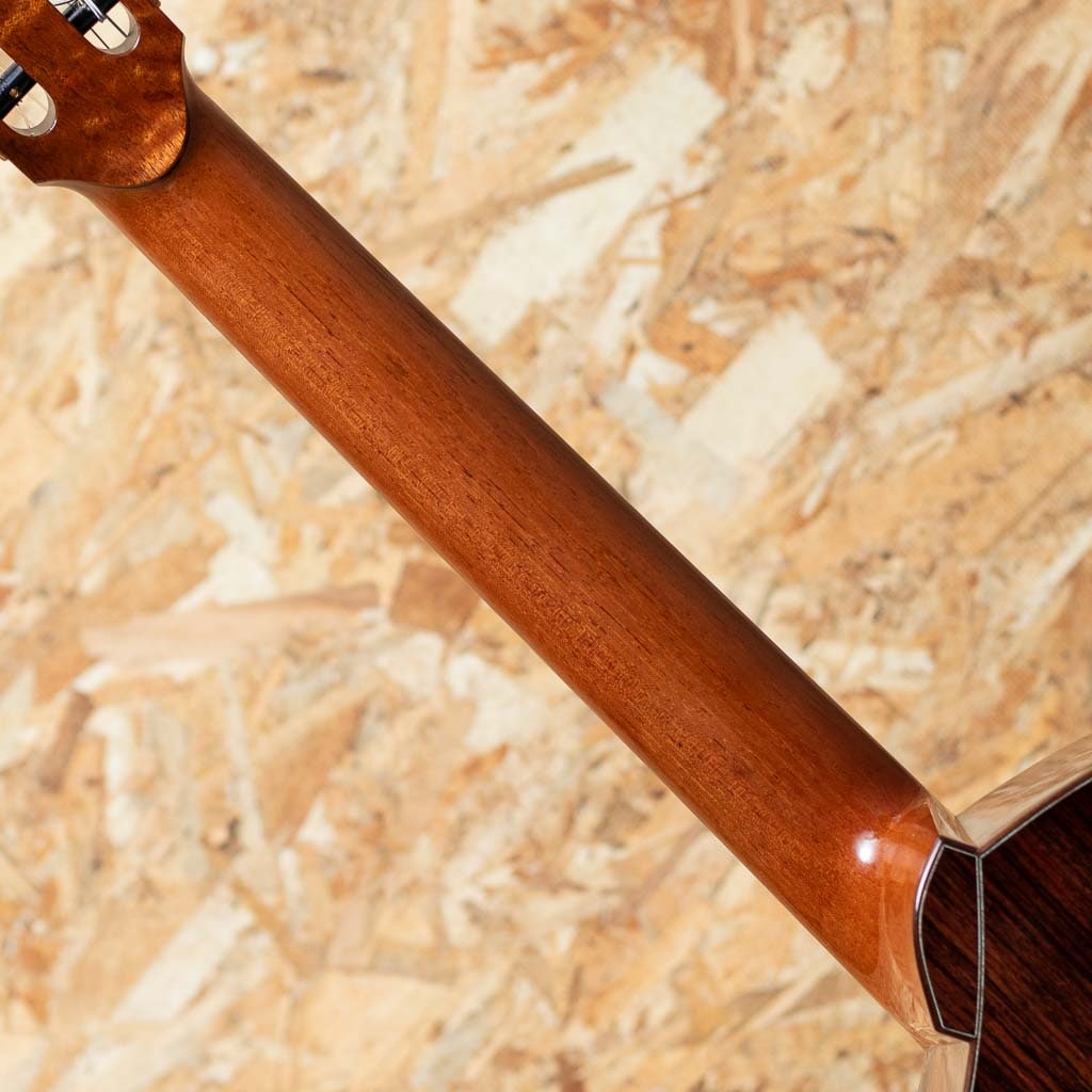 Jazz Nylon Slant Cutaway Custom 2018