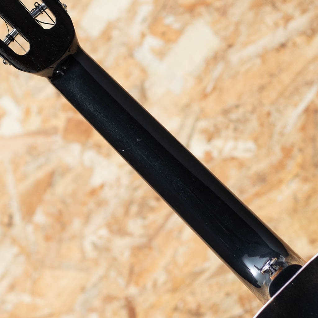 T-56 シャム柿 Big Tenor