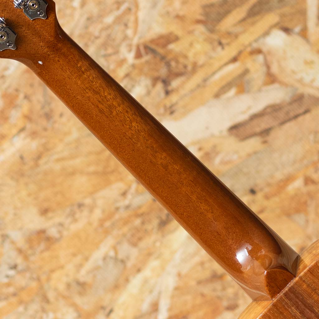 TKP-6233 Premium Concert