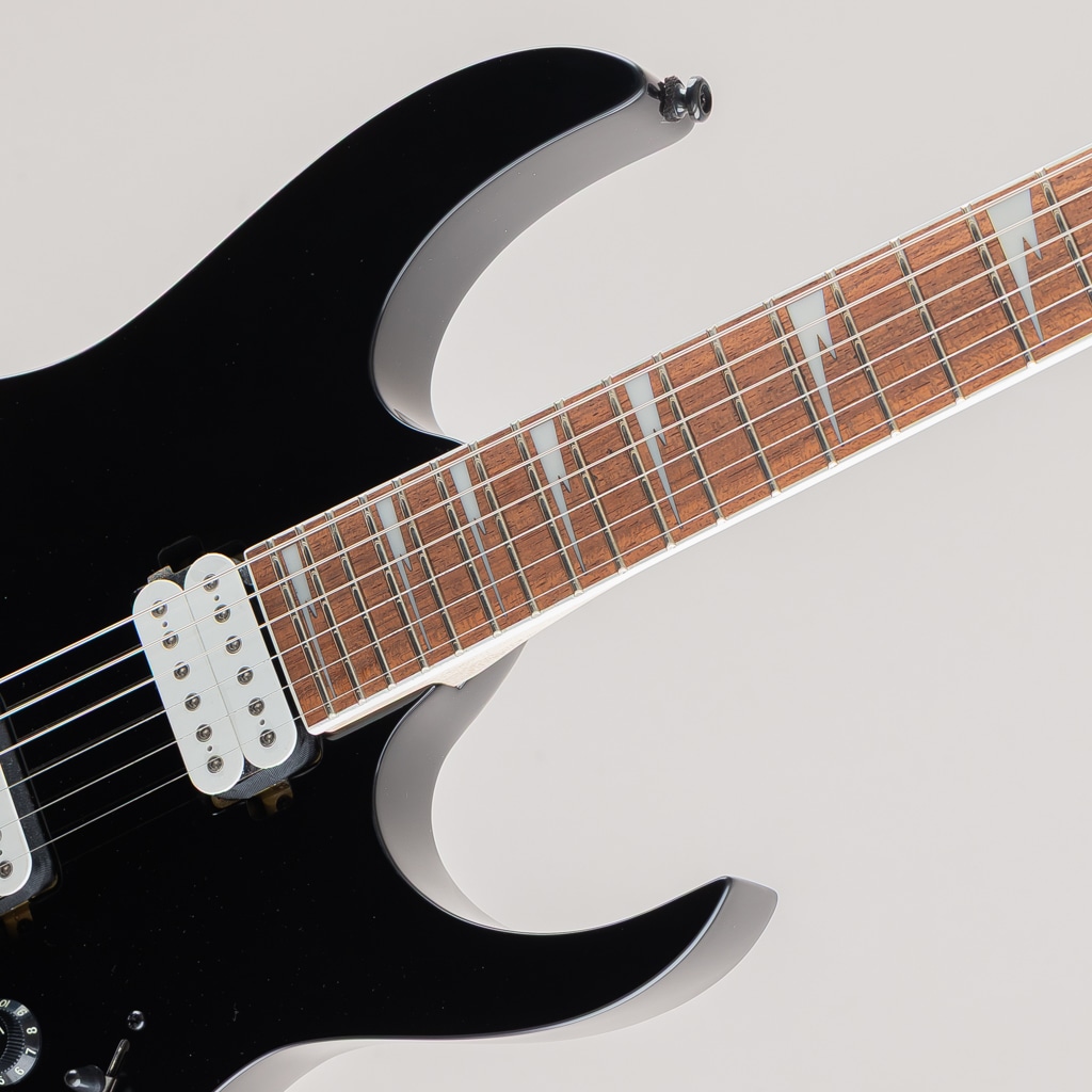 RG421DX / Twilight Shade