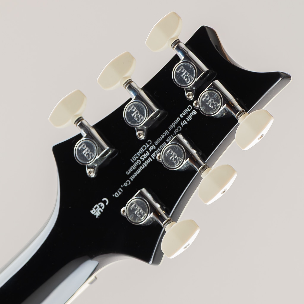 SE Hollowbody Standard/Dog Hair Smokeburst【2025】