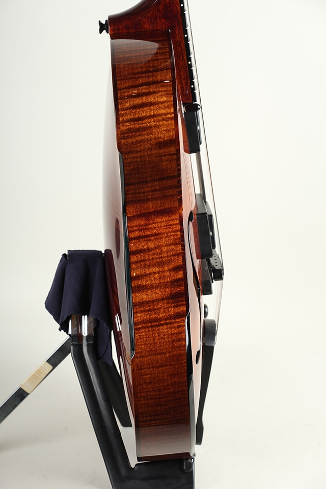 Model 15 Archtop 2 Pickup w/ Ebony Pickguard Light Cello Brown High Gloss Finish 2026