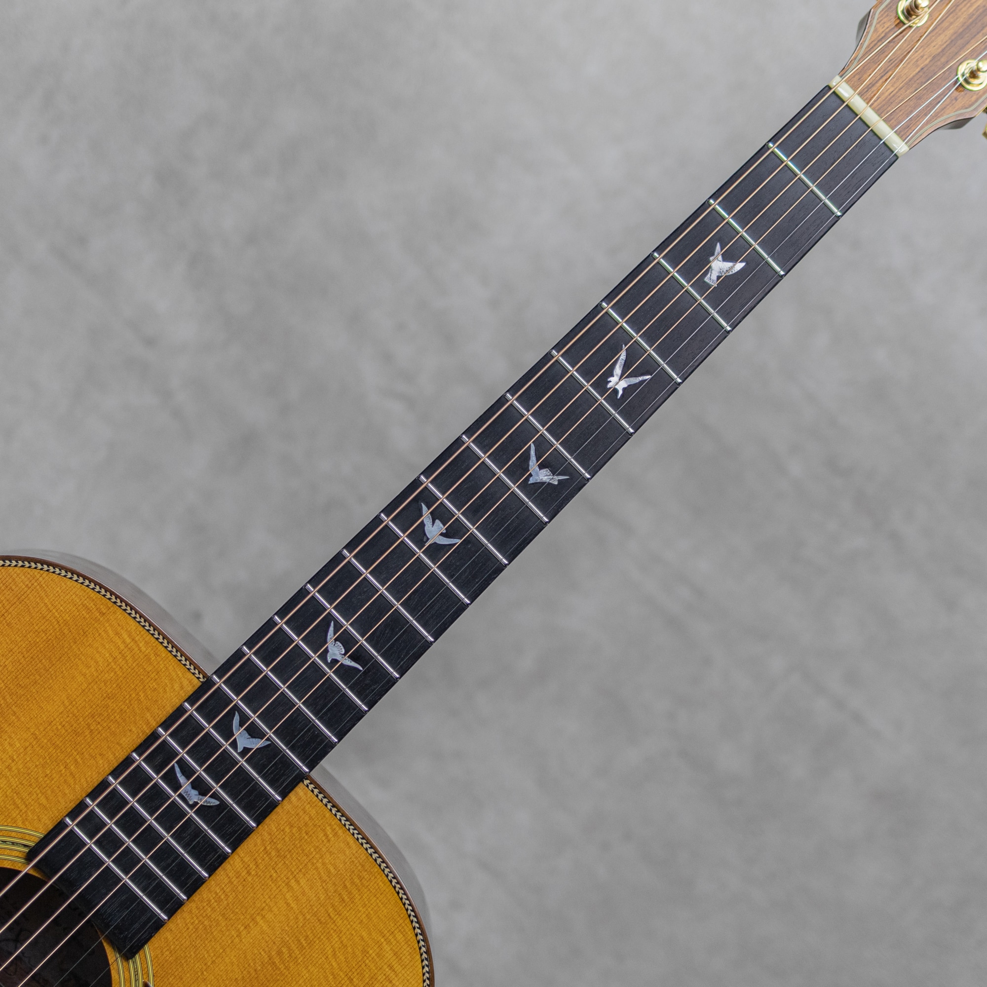 The Oshio D Lutz Spruce / Jacaranda / 2012