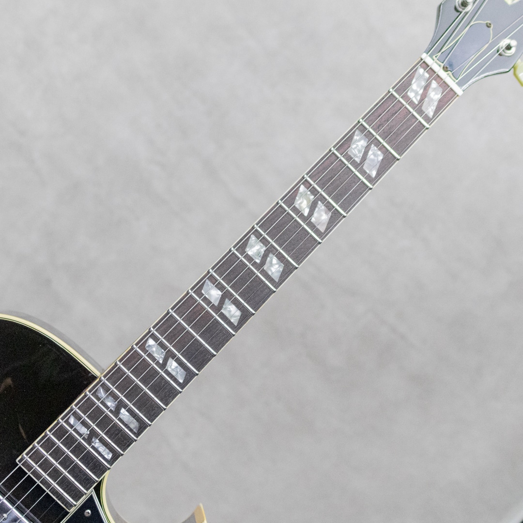 ES-175D Sunburst / 1976