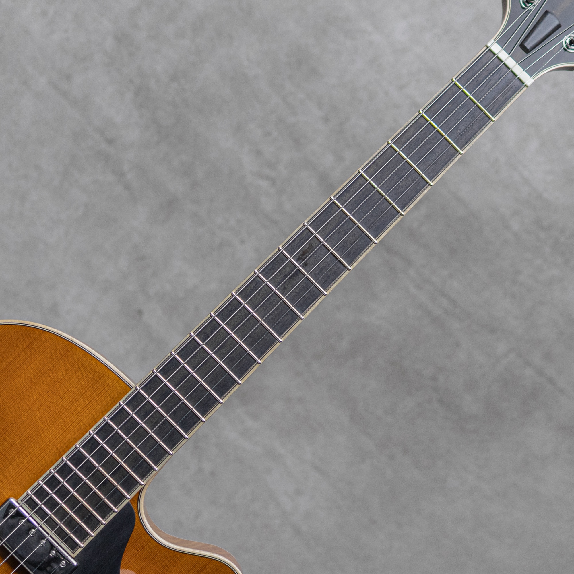 Archtop 15"