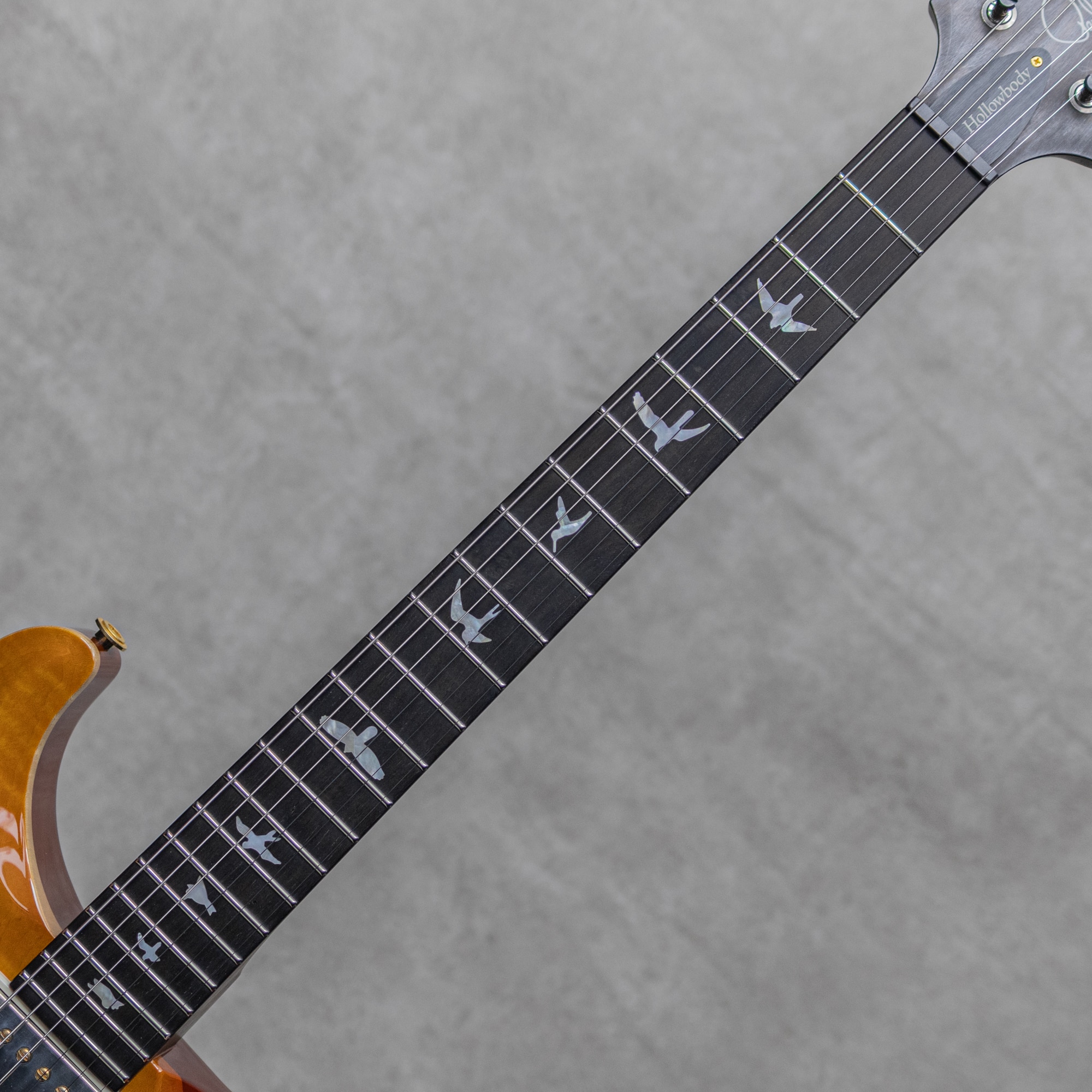 Wood Library Hollowbody I Piezo Rosewood Neck African Blackwood FB McCarty Sunburst / 2018