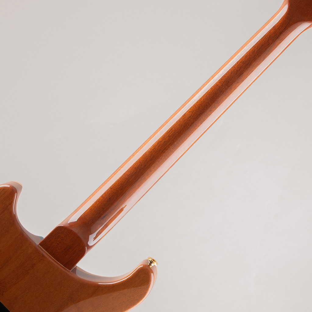 Wood Library Japan Limited DGT "Brazilian Rosewood" Fingerboard Blue Matteo 2013