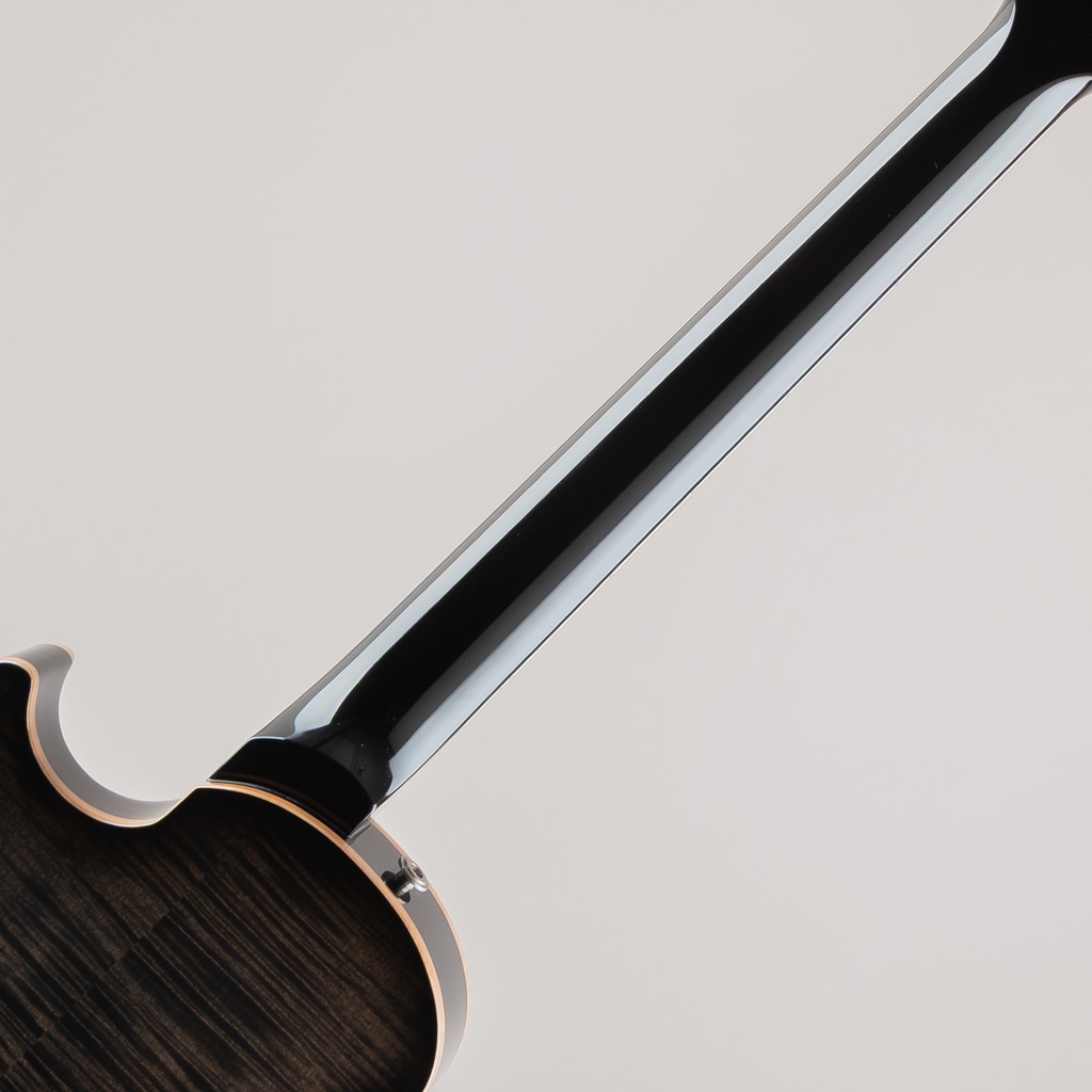 25th Singlecut Hollowbody II 10top 2010