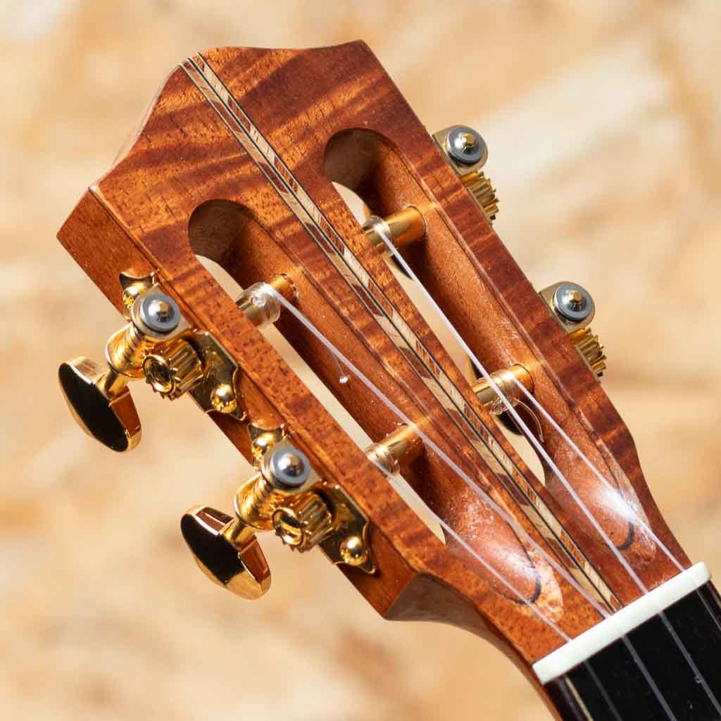 CEDK-LN Cedar Top Concert Semi Long Neck