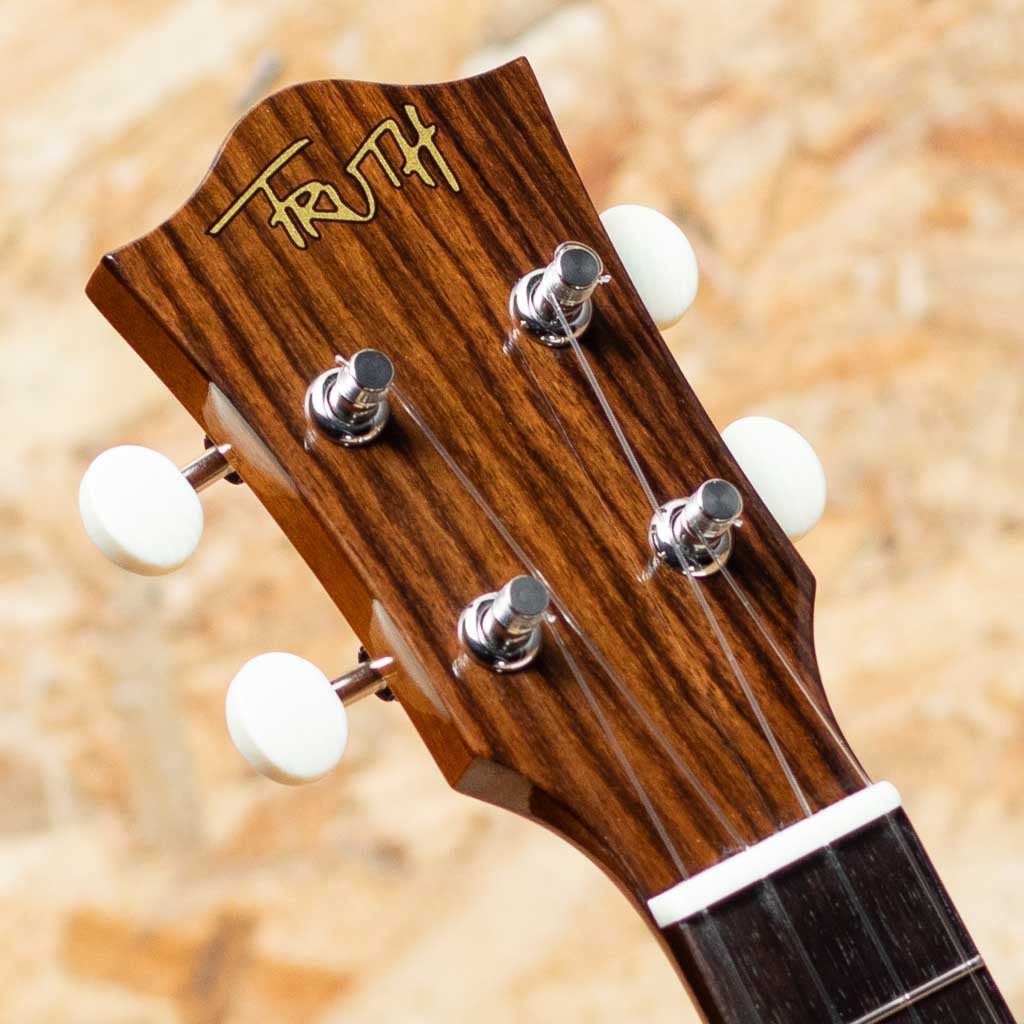 TKP-6233 Premium Concert