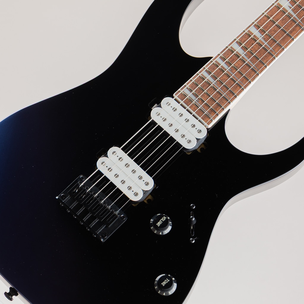 RG421DX / Twilight Shade