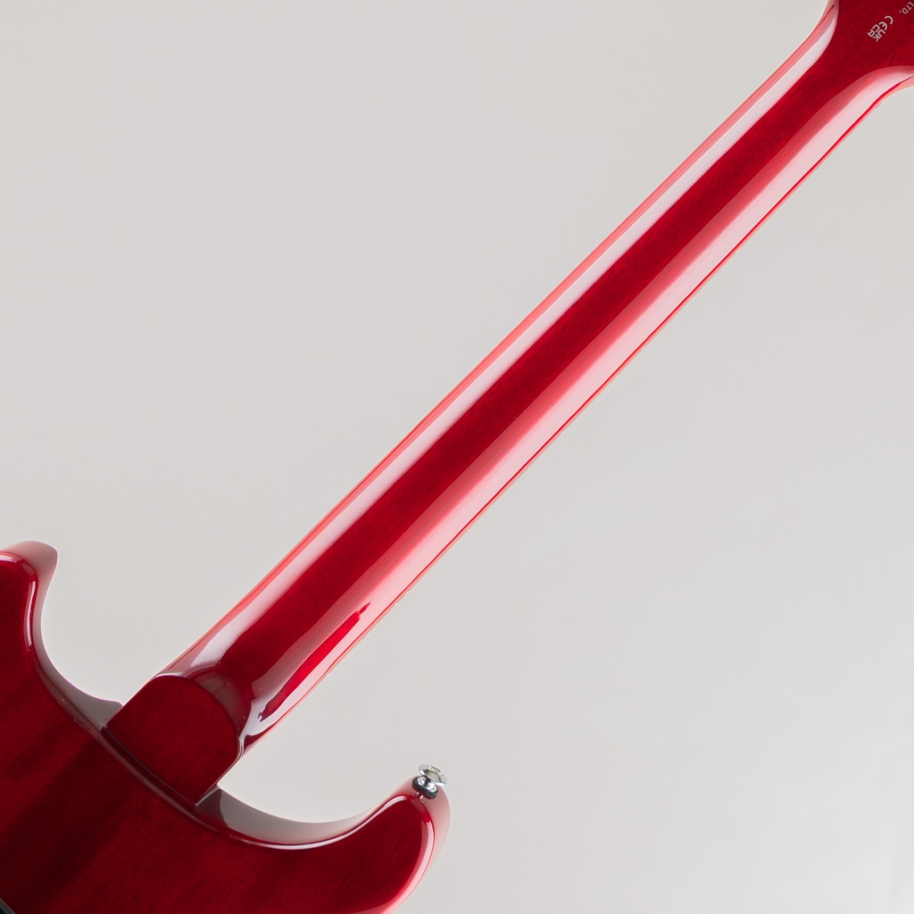 SE DGT Standard/Vintage Cherry【2025】