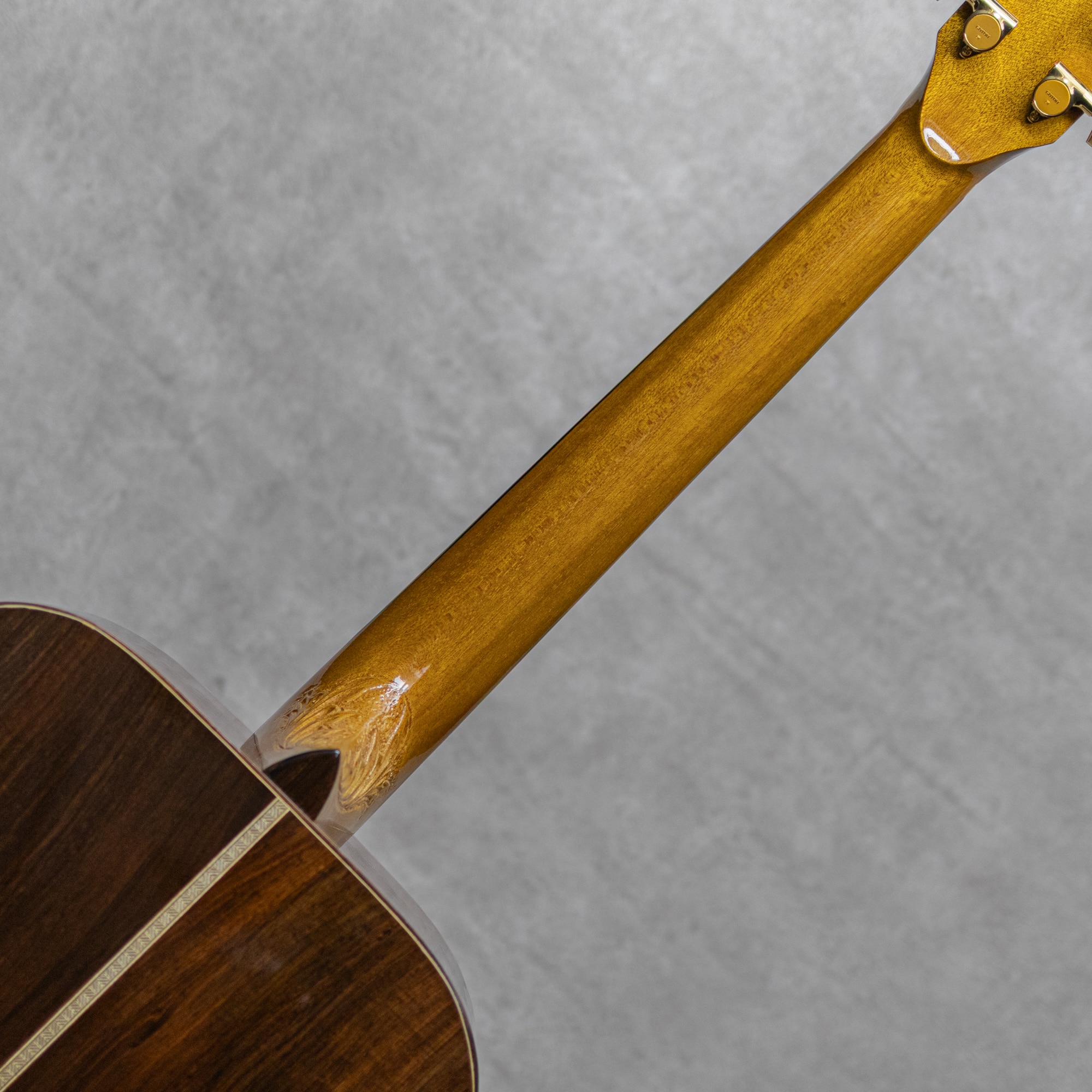 The Oshio D Lutz Spruce / Jacaranda / 2012