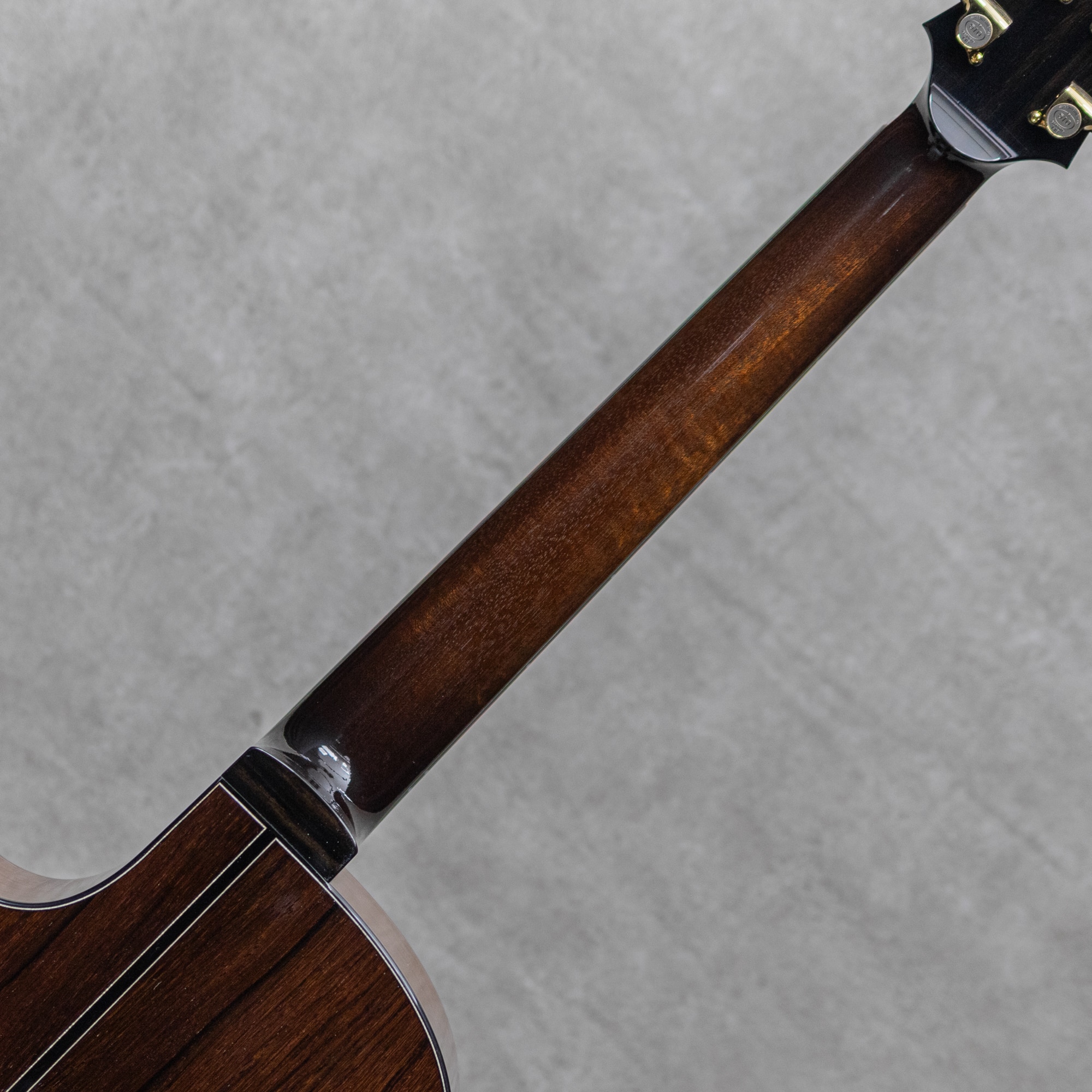 Custom Studio Dreadnought Cutaway Swiss Alpine Spruce / Madagascar Rosewood