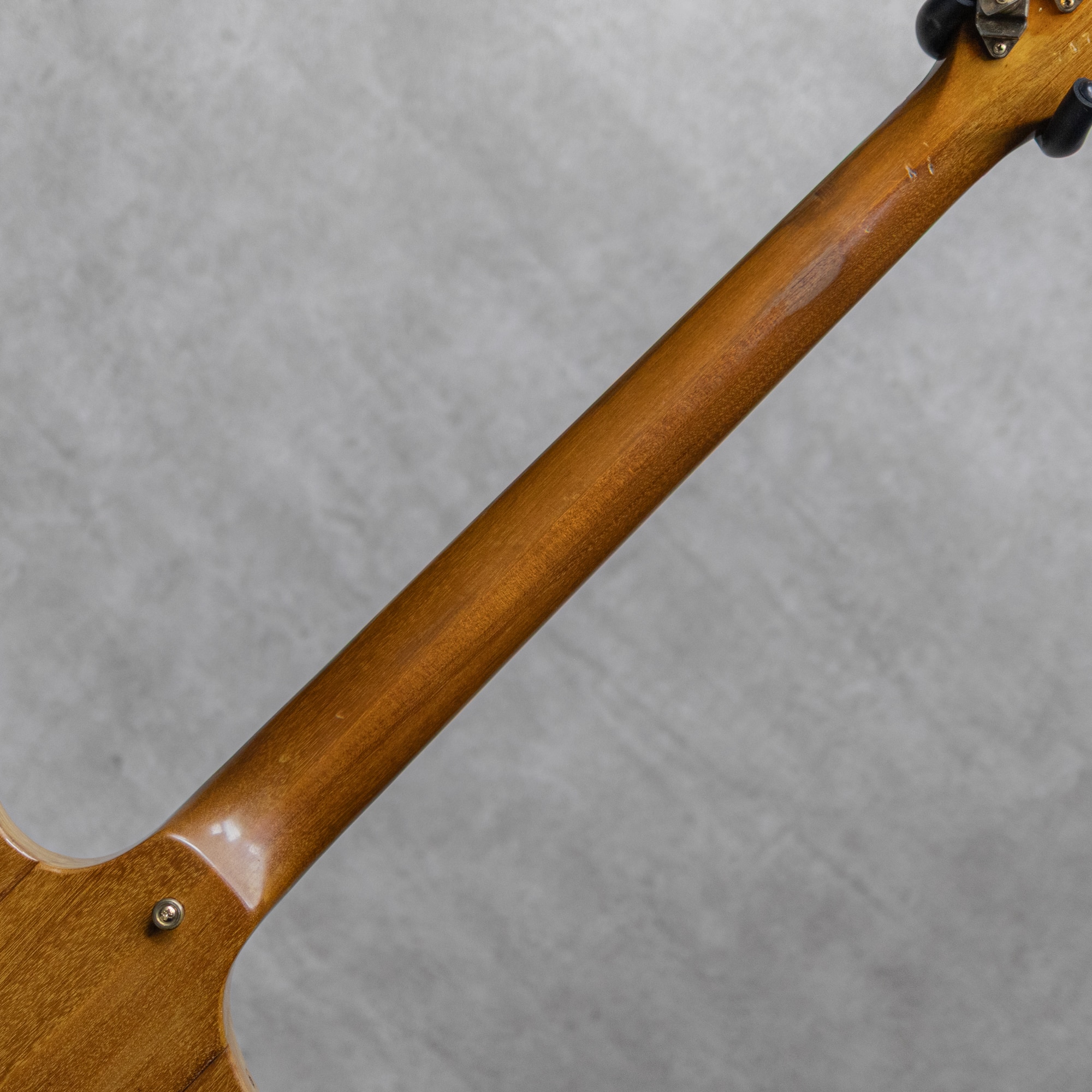 Firebird 76 Natural / 1978