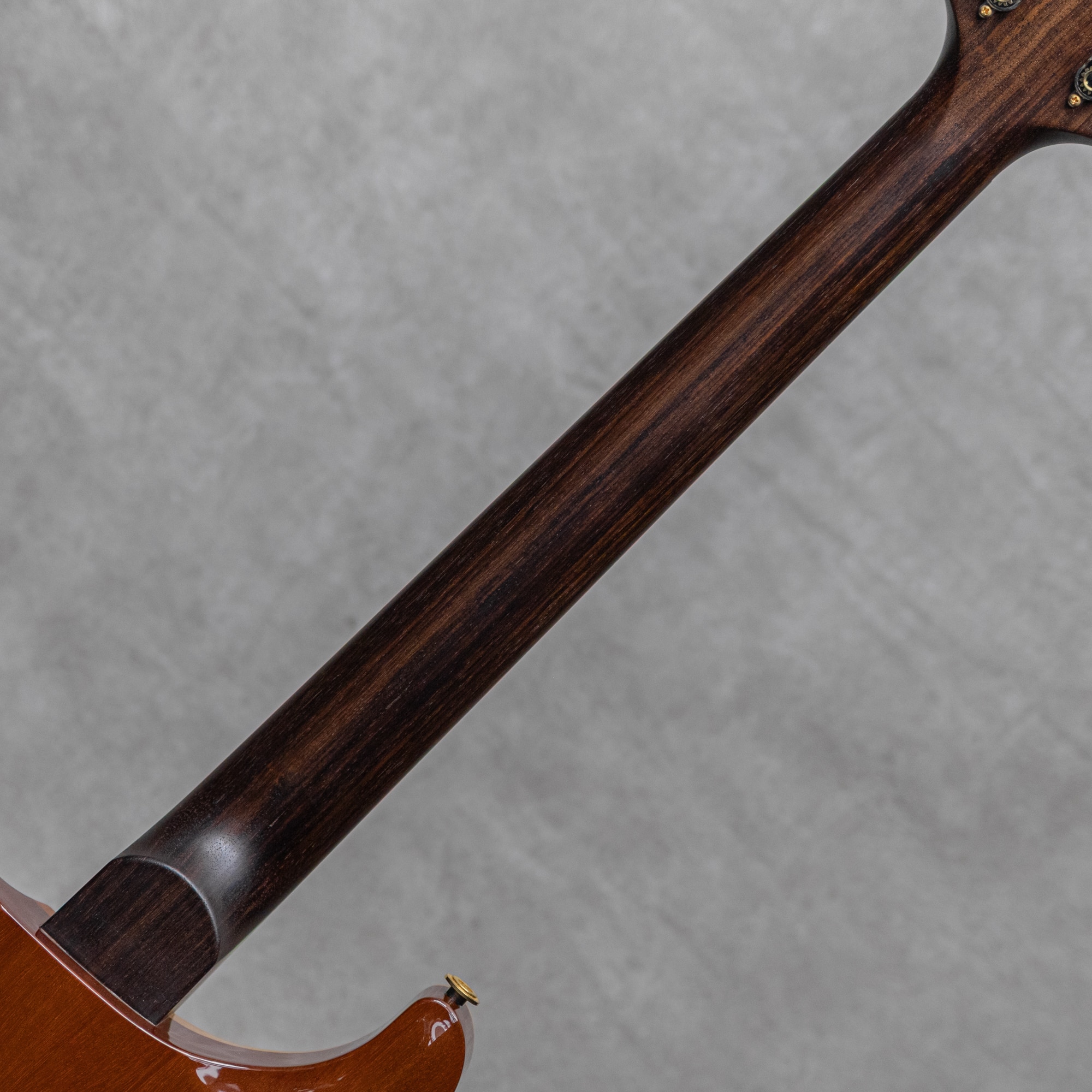 Wood Library Hollowbody I Piezo Rosewood Neck African Blackwood FB McCarty Sunburst / 2018