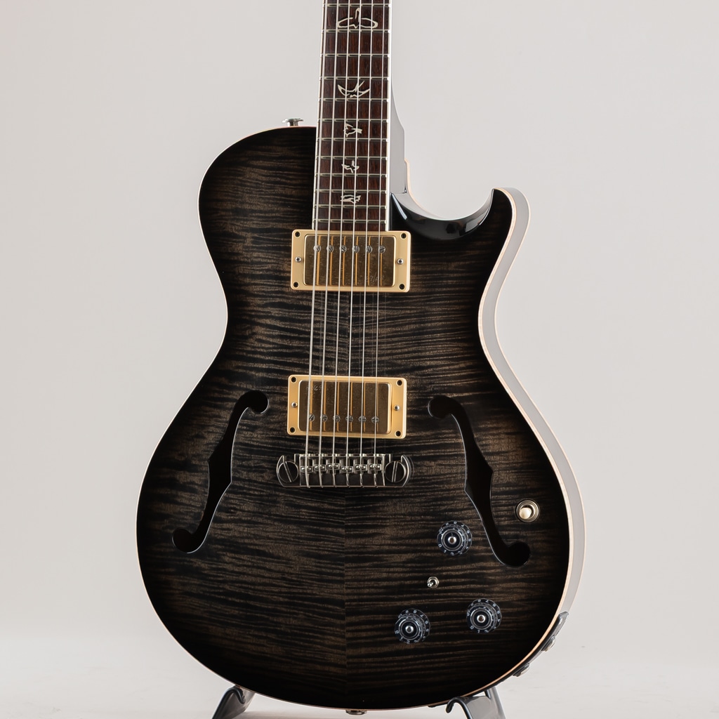 25th Singlecut Hollowbody II 10top 2010