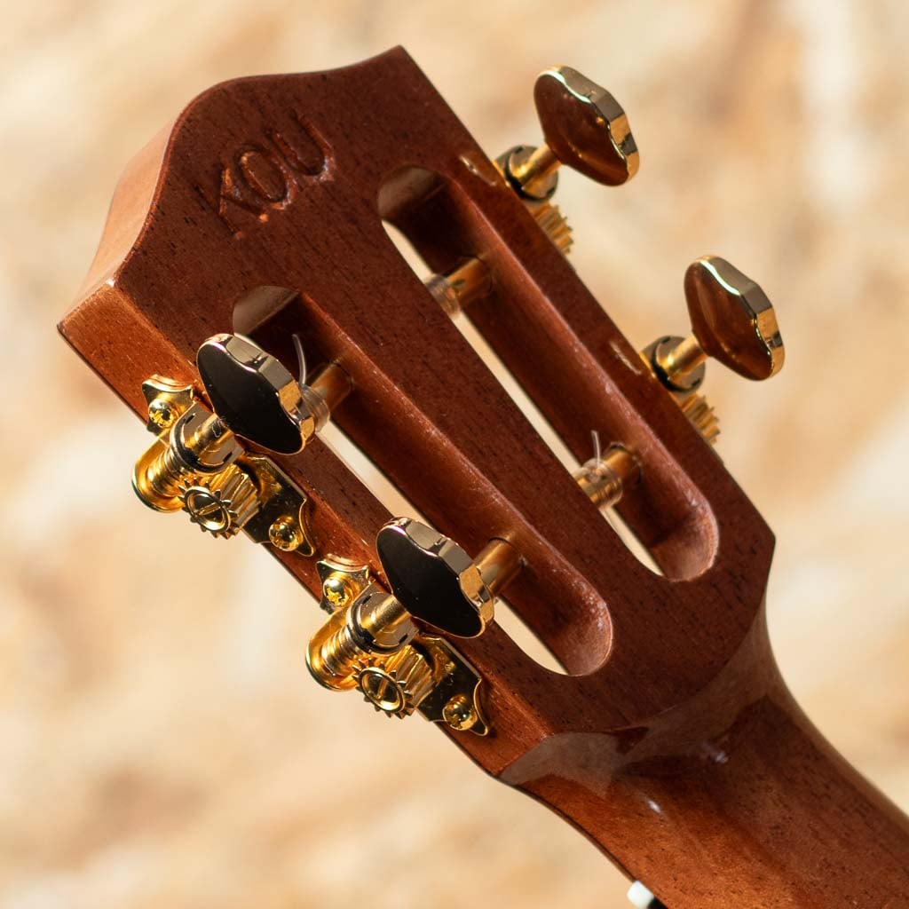 CEDK-LN Cedar Top Concert Semi Long Neck