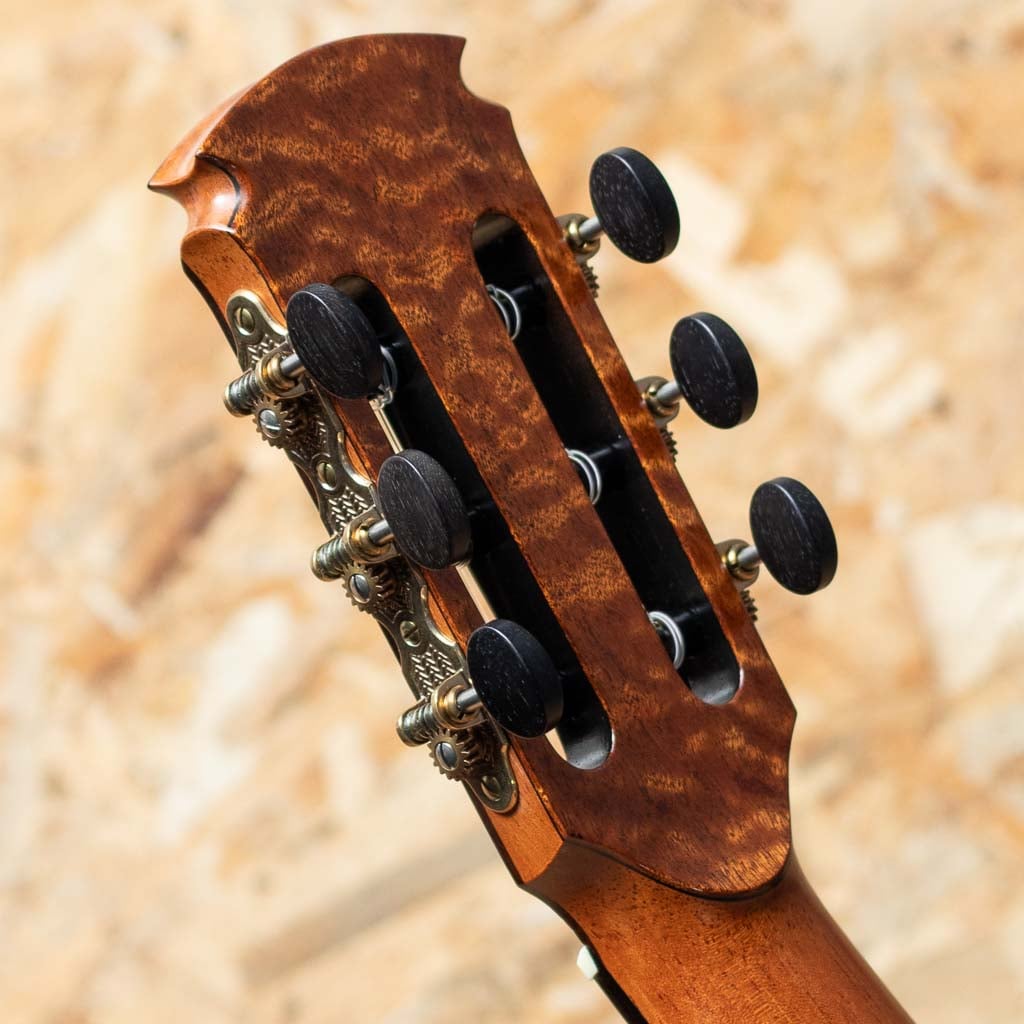 Jazz Nylon Slant Cutaway Custom 2018