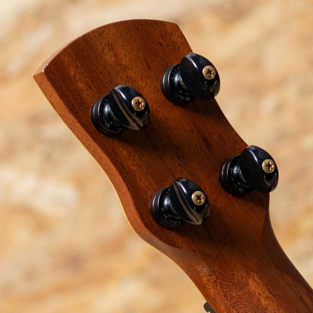 Soprano Prima vera 2019